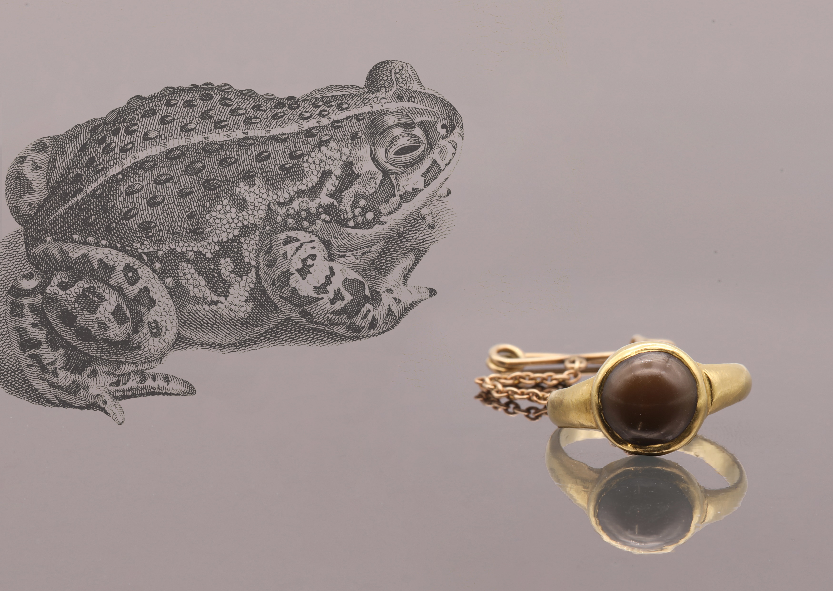 A 16th or 17th century high carat gold 'toadstone' ring